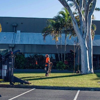 Albany Creek Tree service North Lakes Expert Tree Services 5 Tree care service North Lakes