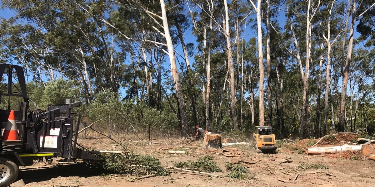 Stump Removal North Lakes Expert Tree Services 8 Emergency tree removal North Lakes